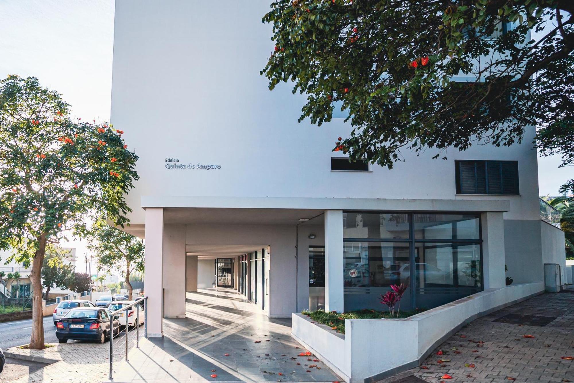 Madeira Luxury Amparo Apartment Funchal  Exteriör bild